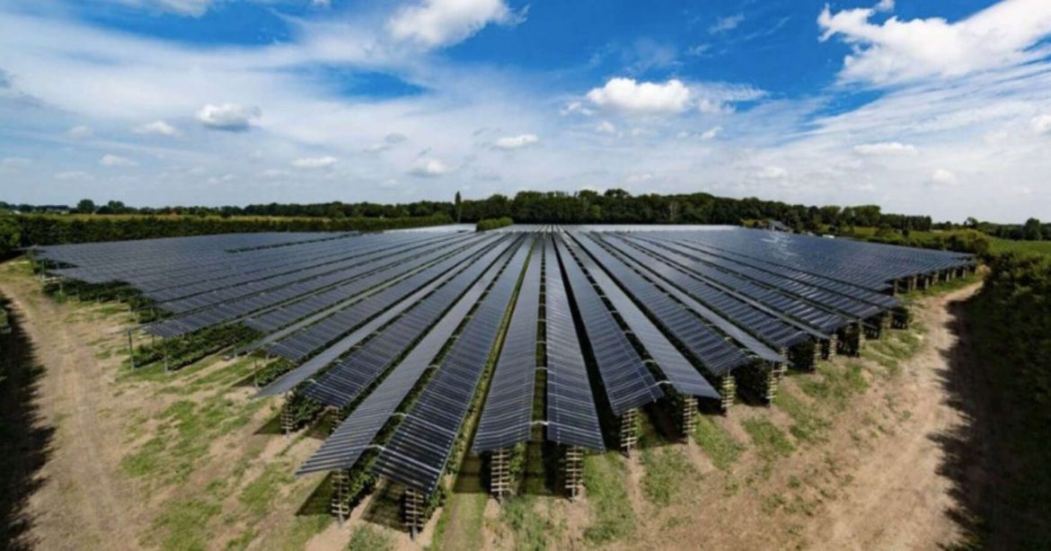 Les députés s'engagent pour promouvoir l'agrivoltaïsme